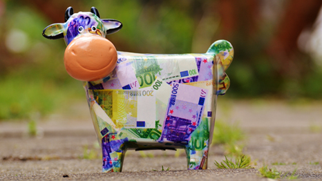 Neustrukturierung der Programme für viele Tierarten 